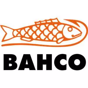 Vedo il logo Bacho
