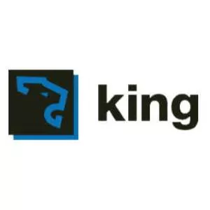 king logo vidam