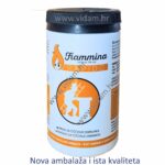 Fiammina Rapido s www