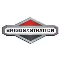 briggs logo