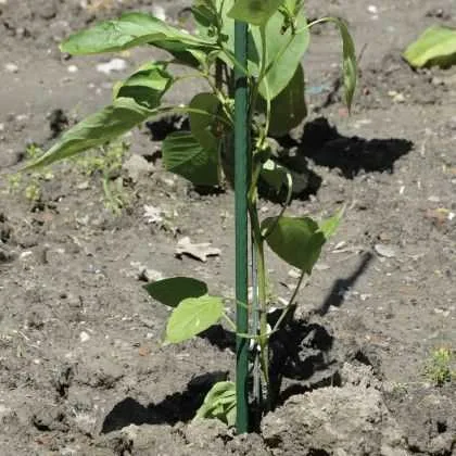 Kolac metalni plastificiran za rajčicu 1