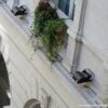 iljci protiv ptica 320mm montaža 3