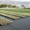 Platno protiv korova Agrotekstil 1