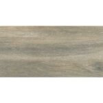 Plocice Forest Ash 30×60 3