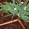 Rainbird XFF ubodno koljeno 1