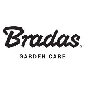 Bradas