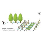 Set za navodnjavanje kap na kap 50m Bradas 5