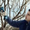Aku skare za grane Bosch Pro Pruner 2x3Ah1
