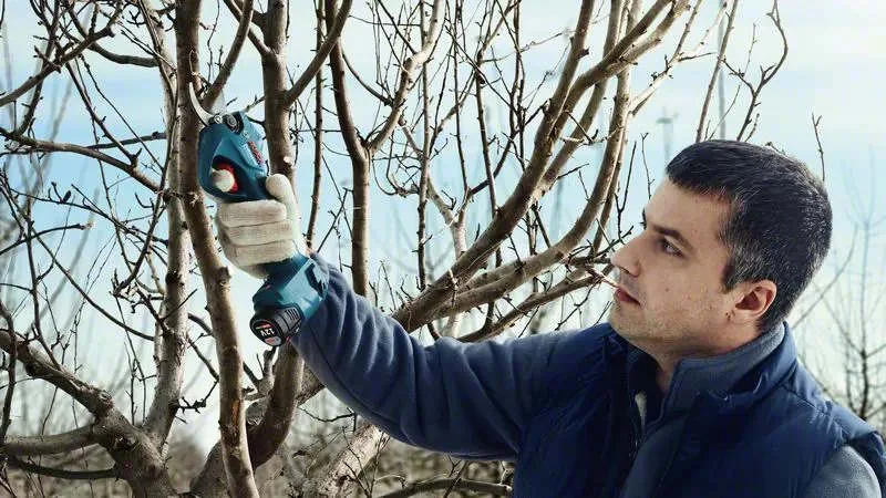 Aku skare za grane Bosch Pro Pruner 2x3Ah1