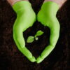 Rukavice Mercator GoGrip Green 3