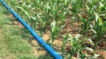 Layflat crijevo 2 53 mm 100m 3bar Rioflex 3